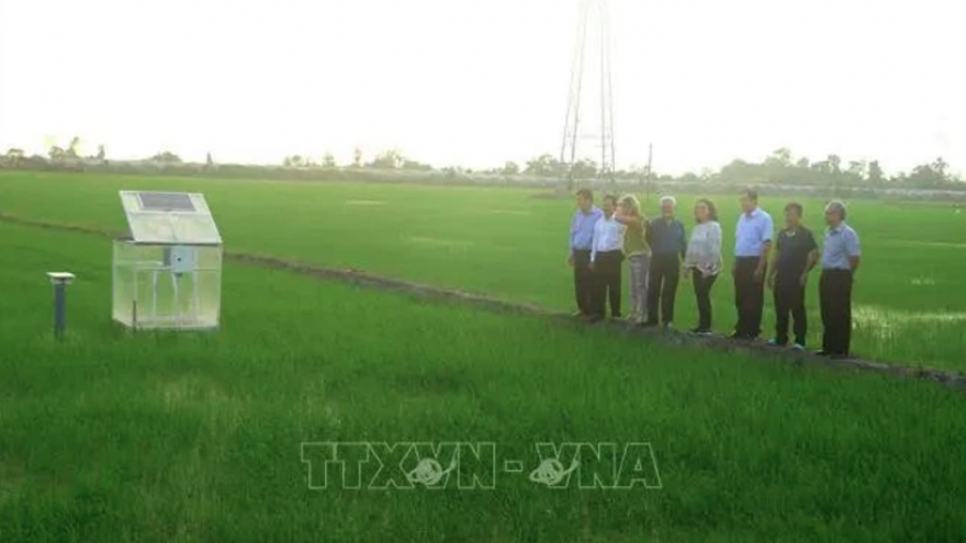 World Bank delegation visits Can Tho’s low-emission rice production model